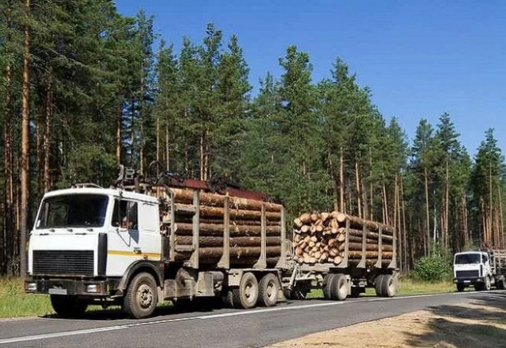 Лесовоз Лесовозы для перевозки леса, аренда и услуги. взять в аренду, заказать, цены, услуги - Новоуральск