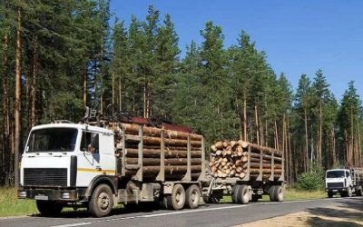 Лесовозы для перевозки леса, аренда и услуги. - Новоуральск, заказать или взять в аренду