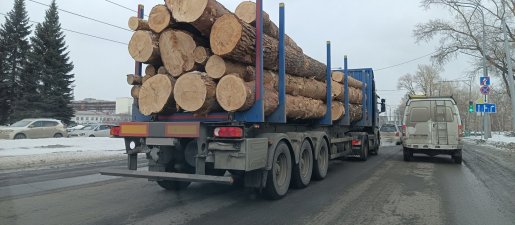 Поиск транспорта для перевозки леса, бревен и кругляка стоимость услуг и где заказать - Екатеринбург